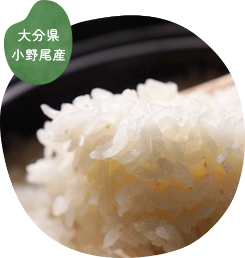 炊き立てのお米